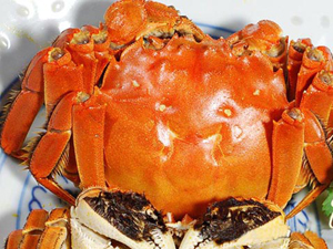 ꖳκ����lз��ꖌ��u��